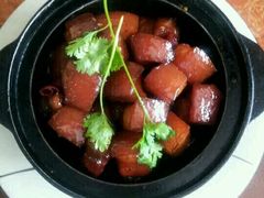红烧瑶山土猪肉-竹苑农庄