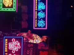 -香港杜莎夫人蜡像馆