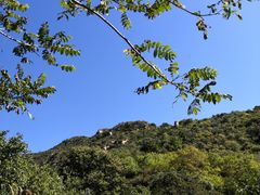 -大岭沟猕猴桃谷风景区
