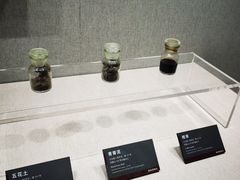-荆州博物馆