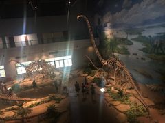 -自贡恐龙博物馆