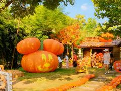 -HERRE·FARM 赫尔露营农场·团建聚会包场