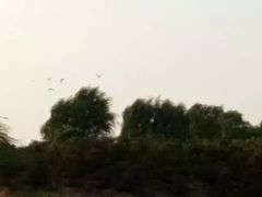 -丁香湖公园