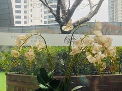 -花园5號餐厅