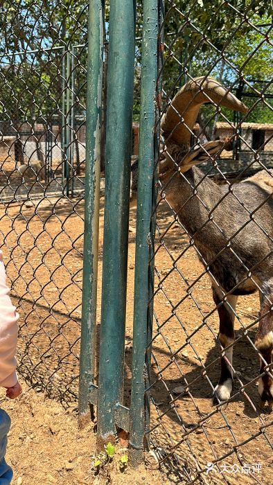 大连森林动物园图片