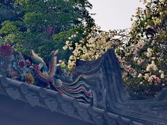 -深圳国际园林花卉博览园