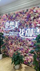 -伽美医疗美容医院·高端抗衰中心