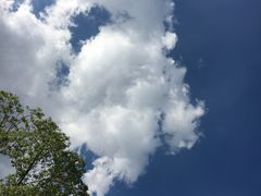 -映月湖公园
