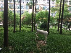 -武汉融通中南花园酒店·戈美西餐厅