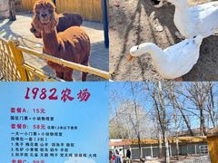 -1982农场