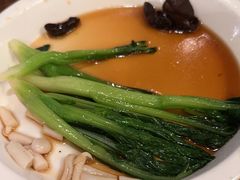 -新白鹿餐厅(百联中环店)