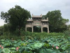 -西溪国家湿地公园