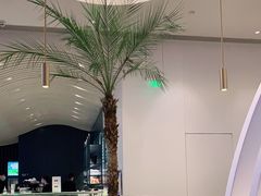 -gaga(金光华店)