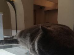 -Me Coffee下午茶艺术空间