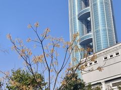 -华西村