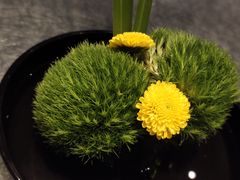 -南堂馆·新川菜(天府三街店)