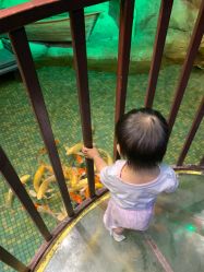 -酷嗒动物文化乐园(cutezoo西溪乐天城店)