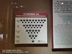 -洛阳周王城天子驾六博物馆