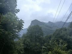 -青峰峡国家森林公园