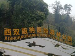 门面-西双版纳原始森林公园