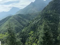 -三清山希尔顿度假酒店