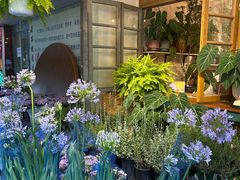 -花二家·生活馆(六运小区店)