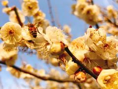 -蜀冈西峰生态公园