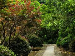 -余姚阳明温泉山庄