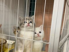 -comecome来吧宠物(奥克斯中心店)