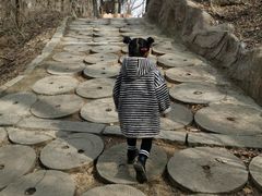-高尔山公园