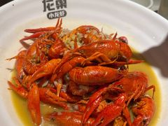 -龙巢盱眙龙虾·牛蛙·烧烤宵夜(八卦岭店)
