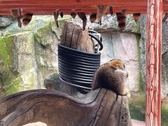 -杭州野生动物世界