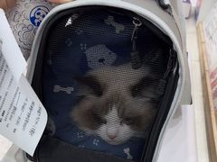 -四月宠物医院·猫专科·心脏专科·内科(转塘店)