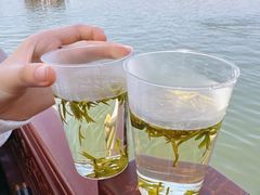 -西湖游船
