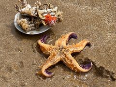 -青岛石老人海水浴场