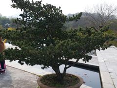 -白马涧龙池景区