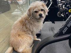 -CrossFit MET综合体能训练馆(朝阳路店)