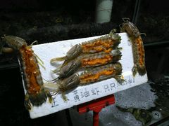 -蚝专家(北滘店)
