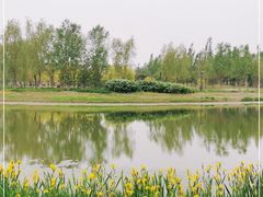 -东郊湿地公园