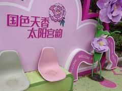 -太阳宫公园