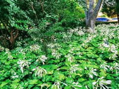 -国家图书馆·古籍馆