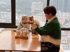 -猫小主咖啡·猫咖cat cafe(福田店)