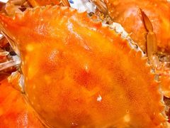 -北塘海鲜·天津菜(大光明桥旗舰店)