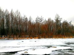 -北极村旅游风景区