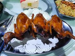 -石岐乳鸽村(南海第三分店)