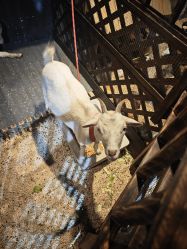 -酷嗒动物文化乐园(cutezoo西溪乐天城店)