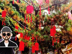 -河下古镇-梁红玉祠