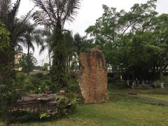 -广西壮族自治区药用植物园