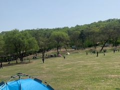 -高尔山公园