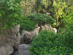 -碑林公园